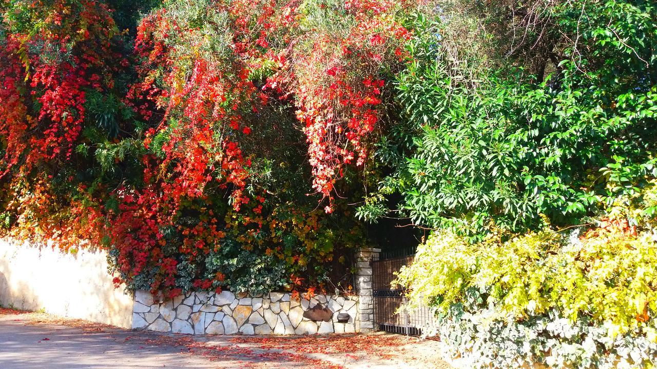 Villa Lofos Kassiopi Exterior foto